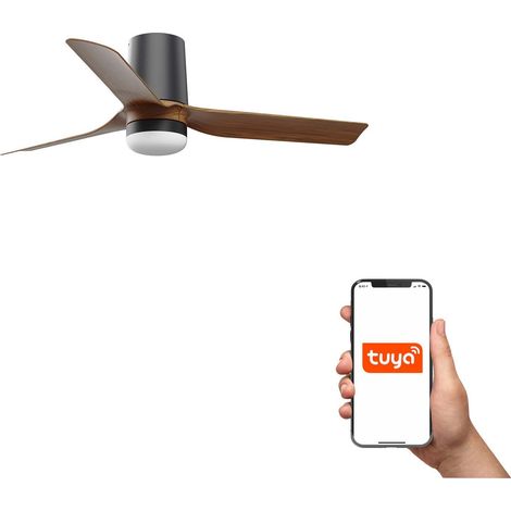 Faro Mini Punt Tub Petit ventilateur de plafond 3 pales noir mat, noyer avec éclairage 2700 - 4000 - 6000 K, système intelligent Tuya (1/3)