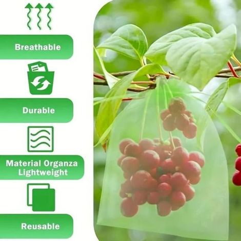 100 Stück Obstschutzbeutel – Schutznetze für Obstbäume – Gartensäcke für Obst (1/3)