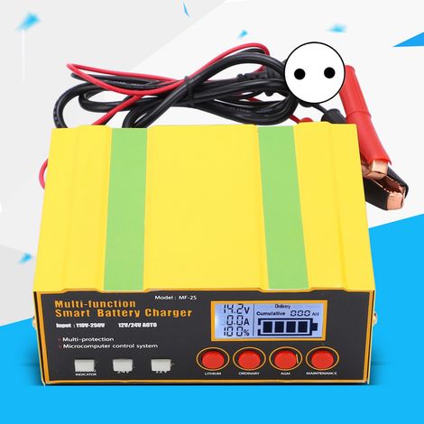 MF-2S 12V/24V Hochleistungs-Autobatterieladegerät, multifunktional, vollautomatisch, intelligent, universell, 220W, europäischer Standard (1/5)
