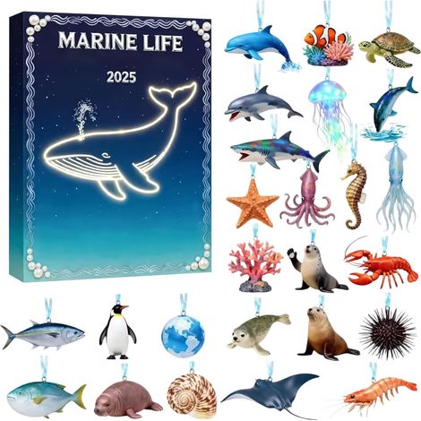 Calendario dell'Avvento 2D piatto in acrilico con regalo a tema per la festa (1/5)