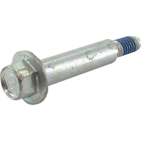 Vis BRIGGS ET STRATTON 690349 (1/2)