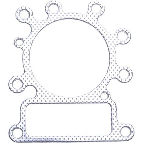 Joint de culasse compatible avec Briggs Stratton remplace 273280S (1/2)