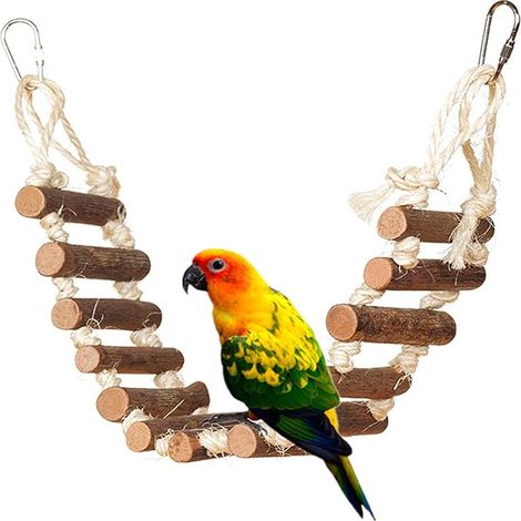 Echelle à Oiseaux Oiseaux Balançoires Echelles Pont pour Perroquets (1/5)