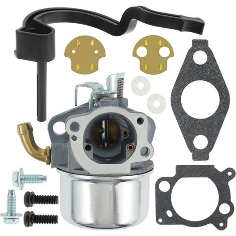Kit carburateur 591925, adapté au carburateur 698479 693518 698475 205cc, moteur 110432-0179-E1 (1/5)