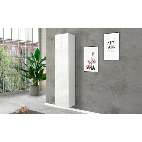 Dmora - Armario Multiusos Dgrassi, Zapatero con 1 puerta y 4 estantes, Mueble multifuncional, 100% Made in Italy, cm 40x30h180, Blanco brillante (1/4)