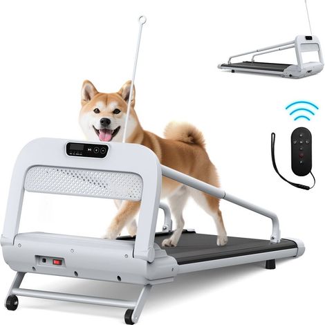 –2025 Neue Ruhige Smart Pet Laufband, verstellbare Geschwindigkeit, perfekt für kleine / mittlere Hunde,pet treadmill (1/5)