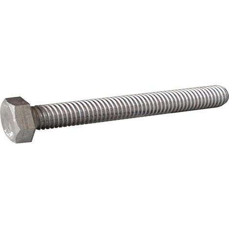 Vite in Acciaio Inox Te Din 933 mm. 8X40