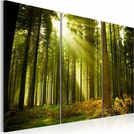 Tableau forêt belle de la nature - 120 x 80 cm (1/4)