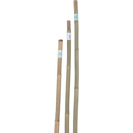 CANNA DI BAMBOO H150 D.12/14MM 3PZ NATURAL (1/2)