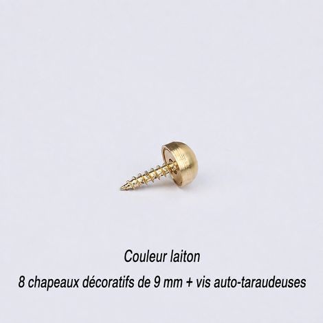 Cache-vis décoratifs en laiton 9 mm avec vis autotaraudeuses, 8 pièces pièces9mm 2 × 0,9 × 2 cm 15 g – Livraison gratuite