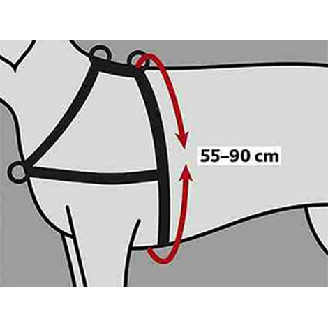TRIXIE COLLIER HARNAIS LEAD'N'WALK POUR PETIT ANIMAL TAILLE M-L 13056 (1/5)