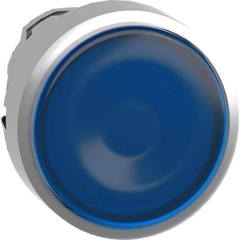 Testa pulsante blu trasparente da incasso + IP65 + materiale resistente e design moderno. (1/2)