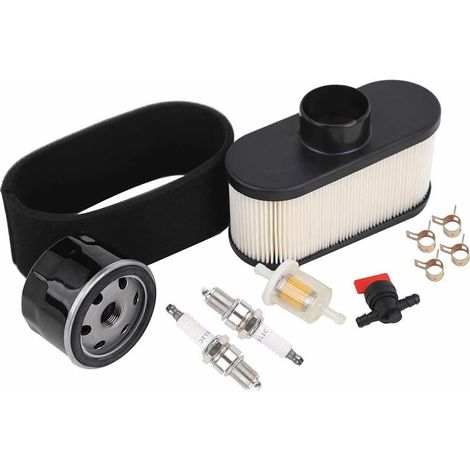 Kit Entretien Moteur avec Huile 49065-7007 Kit Entretien Moteur Compatibilité large FR691V, FR651V, FR730V, remplace références OEM, ajustement parfait moteur (1/5)