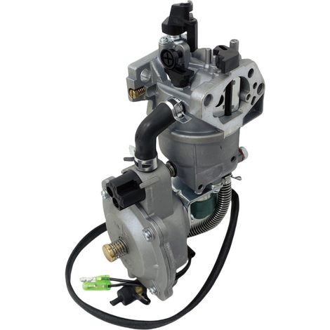 Groupe électrogène 188F avec carburateur à double carburant groupe électrogène à essence 190F avec carburateur groupe électrogène GPL/GN avec pompe à eau GX390.