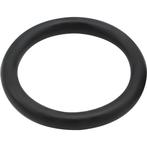 O-RING PER MOTOPOMPA IRRORATRICE mm. 3,53 x 21,82  - COMET