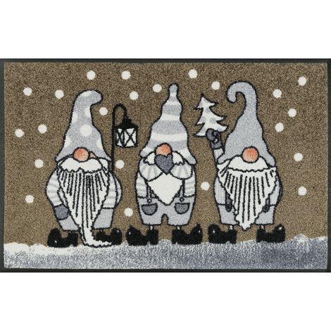 Tapis de Sol, Taupe 50x75cm, intérieur et extérieur, Lavable (1/5)