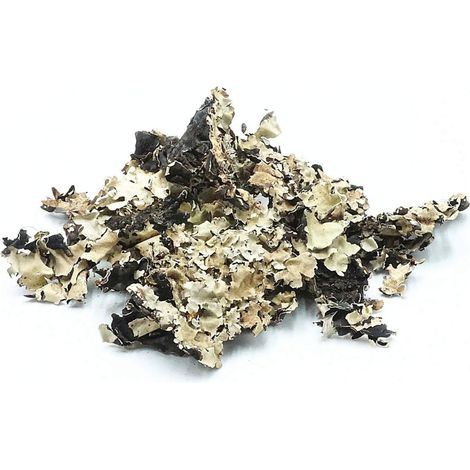 BioSchwarze Flechte 25g (1/5)