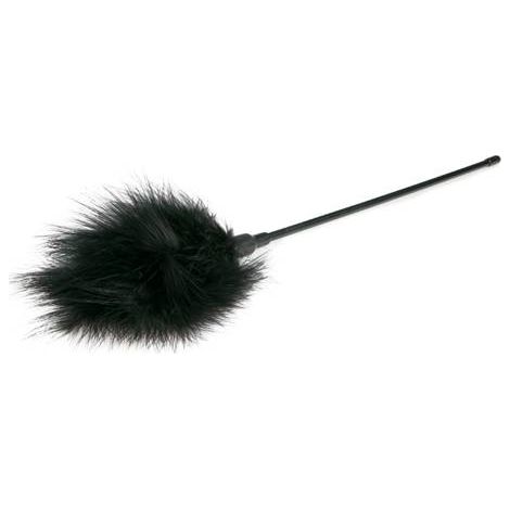 Pluma negra para acariciar (1/4)