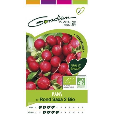 Gondian - radis rond saxa 2 bio
