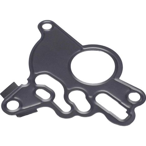 Kraftstoffpumpendichtung für Fahrzeuge, gestanzte Metalldichtung, Ersatzteil für Vakuumpumpen bei gängigen Reparaturen, Öffnungsanordnung vergleichen und Kompatibilität prüfen, mehrfarbig (1/5)