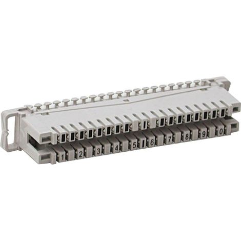 Moduli Di Connessione 10 Coippie ( Fanton Cod. 23740 )