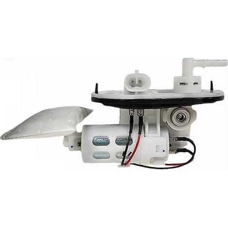 Ensemble pompe à carburant/huile pour moteur de moto EFI LIFAN V16 LF250-D LF250-E KPT200 KPS200 LF200-10L LF200-10R (1/5)