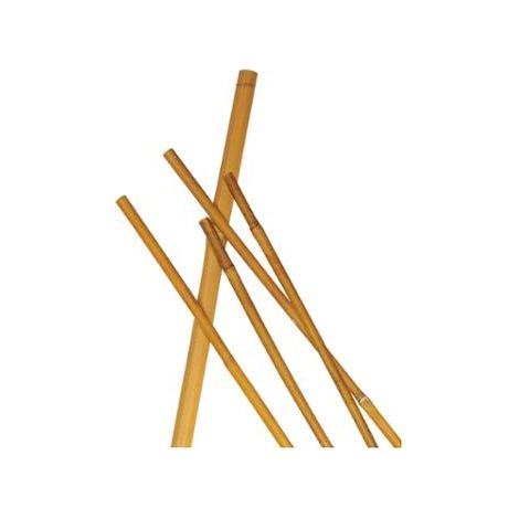 CANNA BAMBOO 24/26MM 210CM