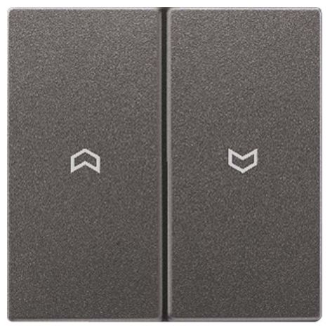 Jung Balancín 2 veces, con símbolos de flecha, aluminio lacado, Serie LS, antracita AL 2995 P AN