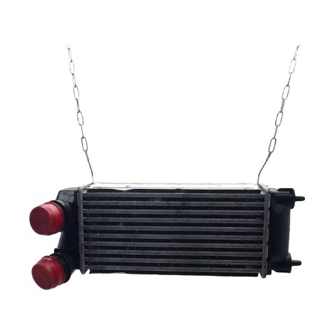 [PRODUIT D'OCCASION] Echangeur Air CITROEN C4 ♻️ Ref Oe. 9800291280 - Garantie à vie (1/2)