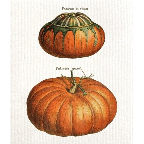 Strofinaccio da cucina color zucca