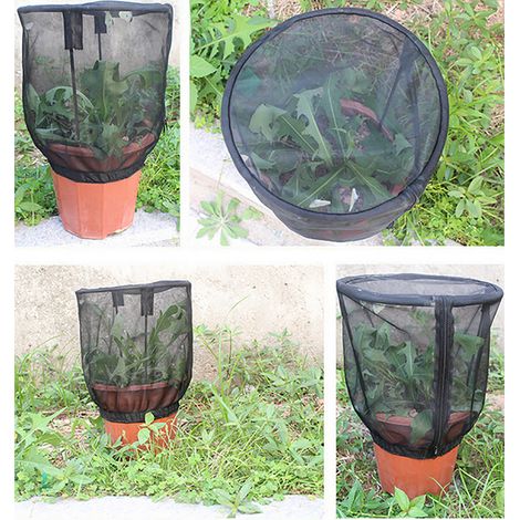 Filet de protection pour plantes avec fermeture éclair, sac en filet à mailles fines, housse pour plantes de jardin, protection pour fruits (1/5)