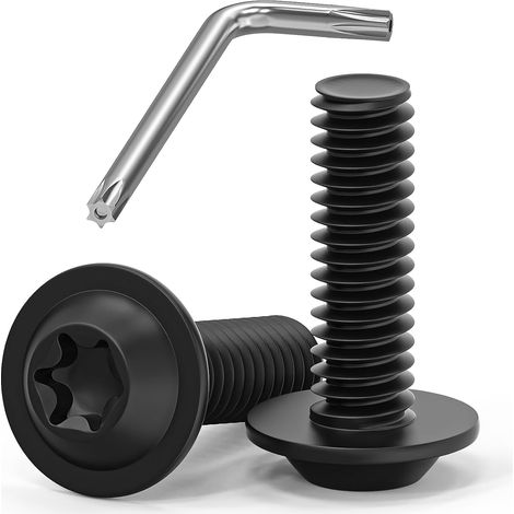 Lot de 20 Vis M8 x 25, Tête bombée à bride, Acier inoxydable A2, Oxyde noir, Clé Torx incluse, Portail et Clôture