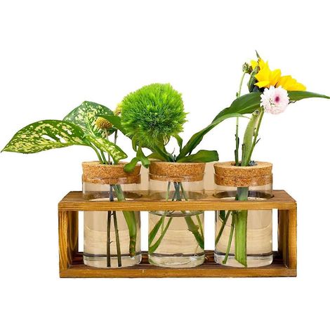 Station de propagation, terrarium en verre pour bouturage de plantes, décoration intérieure --- (1/5)