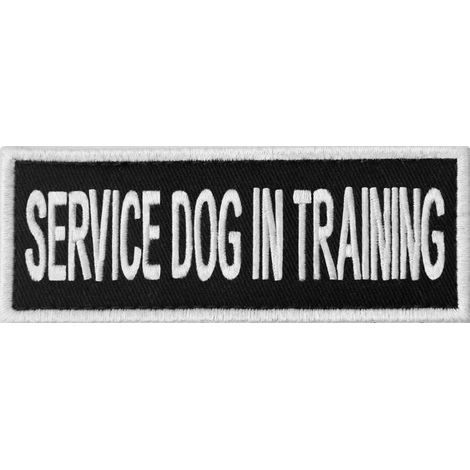Signe d'alerte pour chien avec patchs et harnais brodés IN TRAINING (1/5)