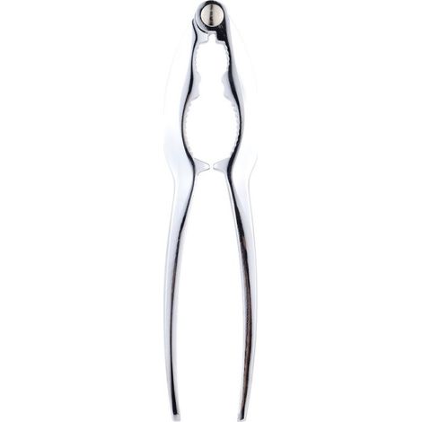 Casse-noix san-ignacio sg73246 acier inoxydable ergonomique (1/4)