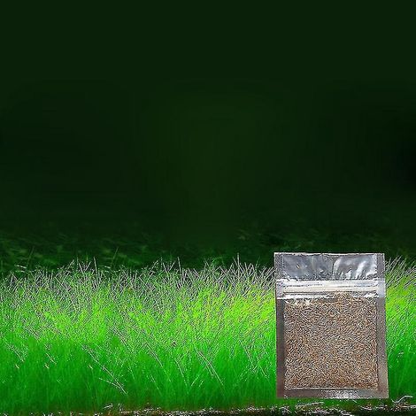 Zierpflanzensamen für Aquarien, Aquariengestaltung, einfach anzubauende Wassergrassamen - kleine, dünne Blätter -