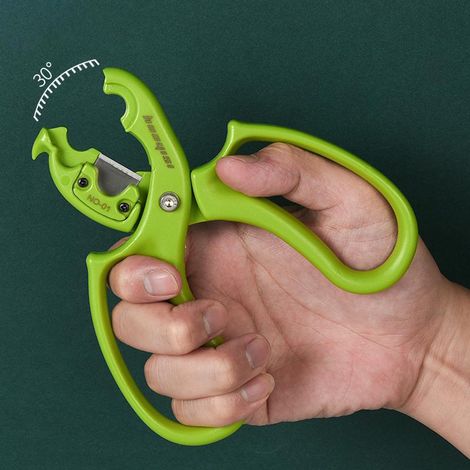 Cisaille de jardin multifonction : Élimination des épines, effeuillage et taille — Lame remplaçable, spécialisée pour les fleurs (1/2)