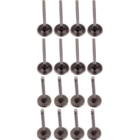 Engine Intake Valves & Exhaust Valves 16pc Kit Para Audi VW 20T (FSI TSI) (1/5)