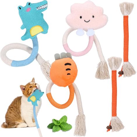 Jouet Soins Dentaires pour Chat, Jouet Herbe a Chat, Kit 5 Jouet Chaton (1/5)