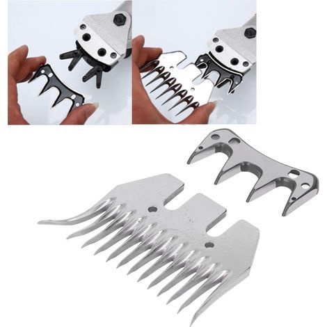 Lame de Tondeuse à Moutons Courbée 13 Dents avec Peigne et Accessoires de Coupe (1/5)