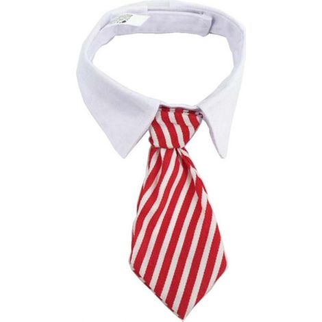 Cravate Pour Chien - Coton Et Polyester Réglable - Pour Mariage Et Fête - Petit Chien Et Chat (1/5)