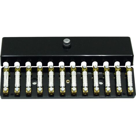 Boîte à fusibles à vis 12 broches 8A compatible Torpedo 180x25mm