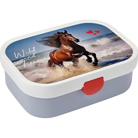 CAJA DE ALMUERZO CAMPUS CABALLO SALVAJE