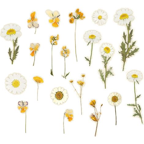 40 autocollants floraux adhésifs pour journal, design marguerite, décoration exquise pour maison et journal créatif (1/5)