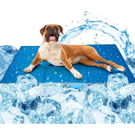 Tapis Rafraichissant Chien L 40x50cm, Auto-refroidissant Gel Non-Toxique Grand Tapis Refroidissement Chien, TapisFraicheur Chat, Plus Durable - Résistant Aux Rayures (1/4)