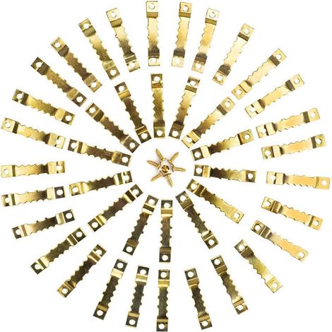 50 Girlanden + 100 Schrauben – Gold – Bilderaufhängeset aus Edelstahl, Bilderhaken, Spiegelhaken, P-AquaForge Sortiment