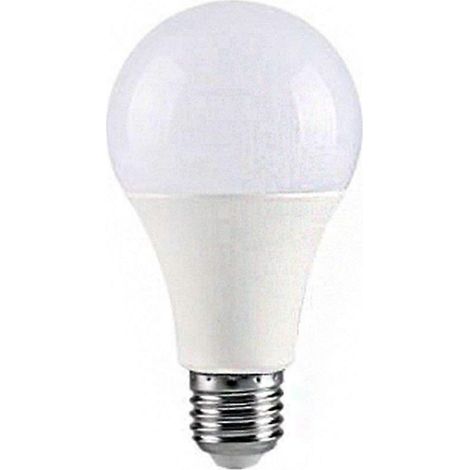 Ampoules LED E27 à vis 220-240 V 22 W (équivalent 110 W), blanc chaud 2700-3000 K, non dimmable, lot de 1 (1/5)