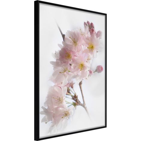 Affiche Murale Encadrée "Scent of Spring" 40 x 60 cm Noir