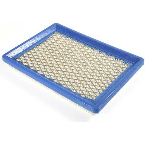 Filtre à air pour moteur Briggs & Stratton 397795 (1/5)