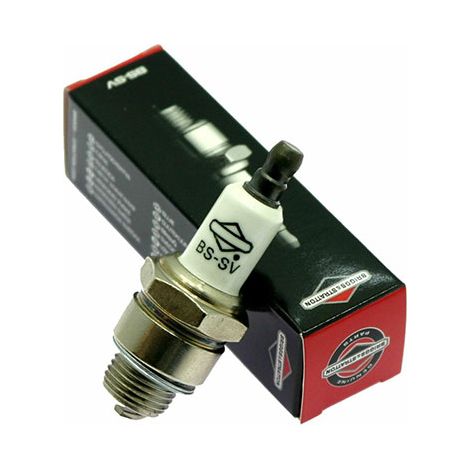 Candela Briggs &ampamp Stratton RJ19LM 1 pz.